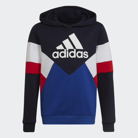 Colorblock Fleece Hoodie