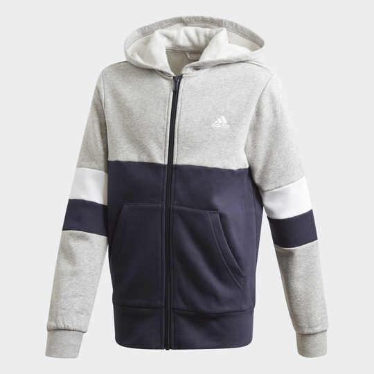 Linear Colorblock Full-Zip Hoodie