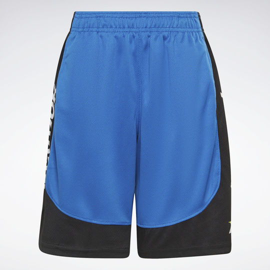 Reebok Heritage Shorts