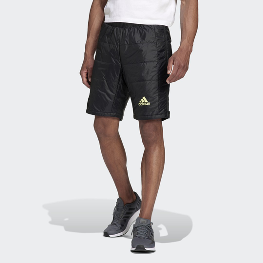 teamD Terrex Primaloft Insulation Shorts
