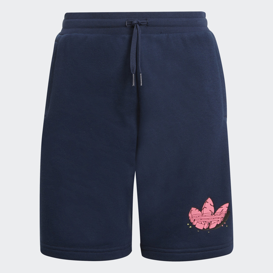 Funny Dino Graphic Shorts