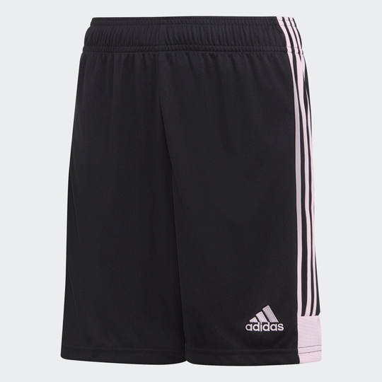 Tastigo 19 Shorts