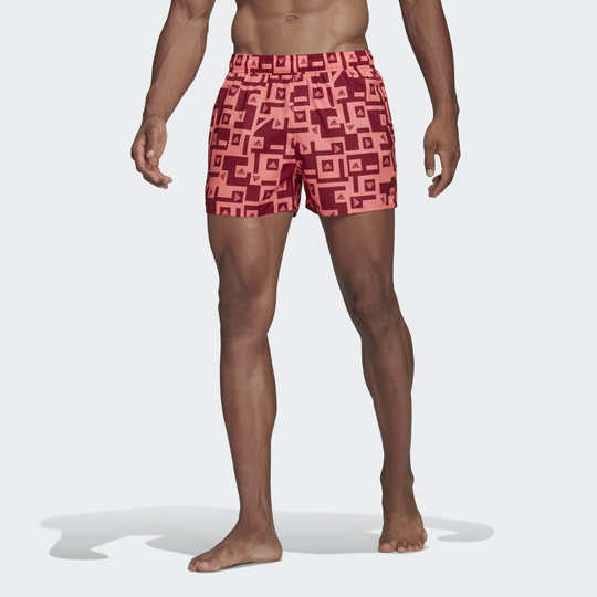 Graphic Swim Shorts