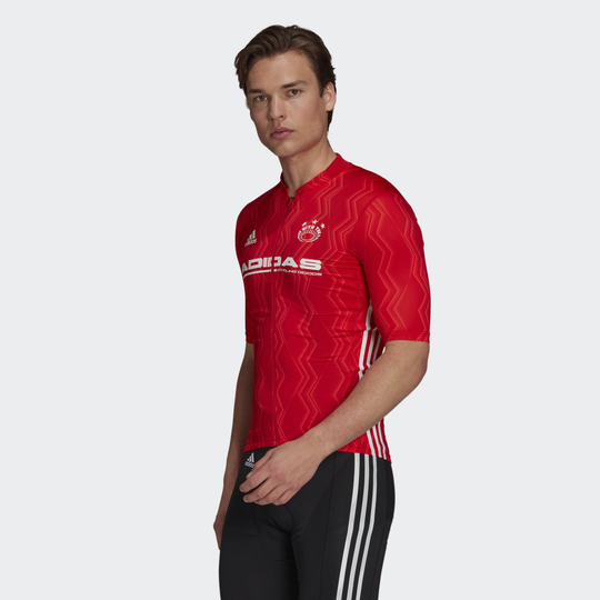 The Short Sleeve Cycling Graphic Jersey