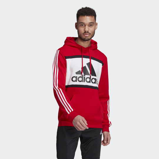 Essentials Logo Colorblock Hoodie