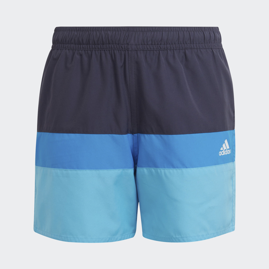 Colorblock Swim Shorts